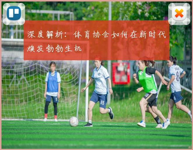深度解析：体育协会如何在新时代焕发勃勃生机