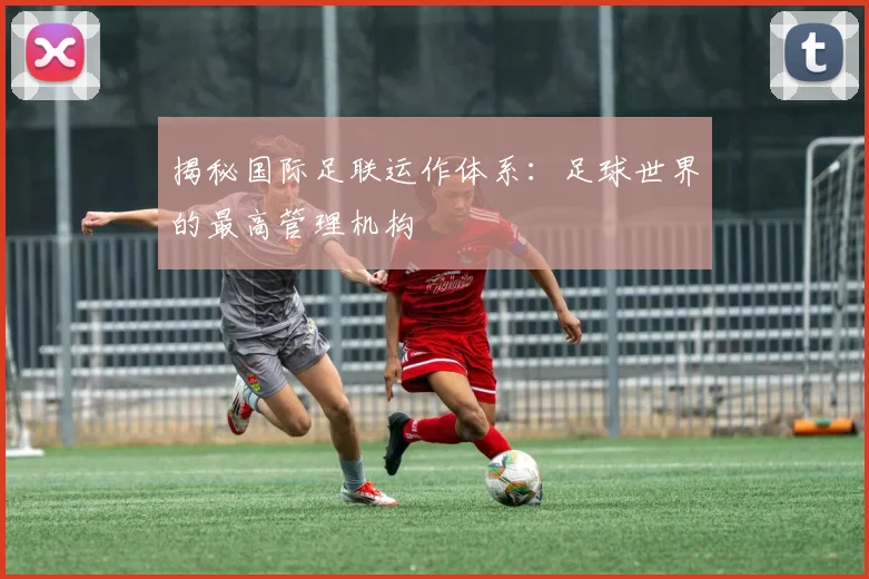 揭秘国际足联运作体系：足球世界的最高管理机构