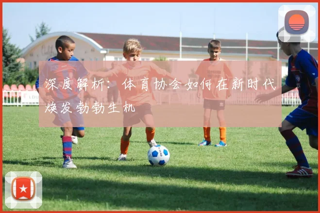 深度解析：体育协会如何在新时代焕发勃勃生机